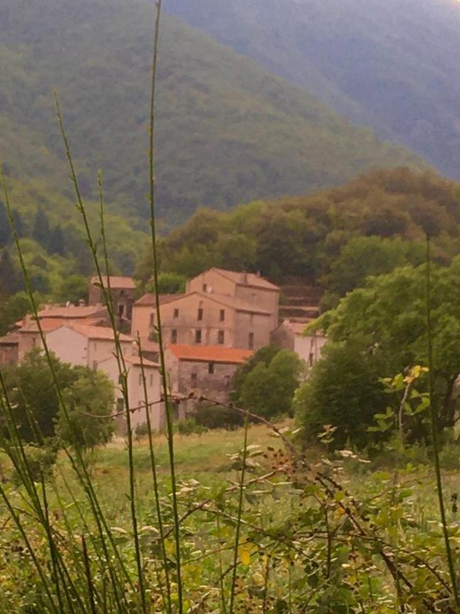 Grande Maison Cevenole Authentique Valleraugue Exterior foto